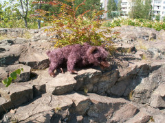 PICT0016.JPG
