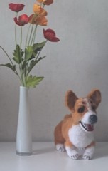 B7DAE7EC-56EC-4398-8AE5-0B1466A7CD59.jpeg