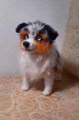 Аусси, мк Т.Коротких
