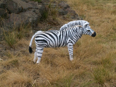 PICT0096.JPG