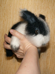 PICT0174.JPG