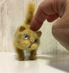 F1DEEA02-EB3F-481F-99DC-C9B13BC5BF0B.jpeg (206.25 КБ) 5593 просмотра По итогам онлайна Татьяны Коротких «Кошки-взъерошки»