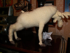 PICT0015.JPG