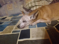 20201025_180508.jpg