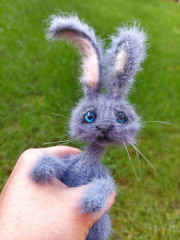 20221108_145843 (1).jpg (229.43 КБ) 4697 просмотров #заяц с пончиком