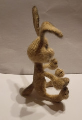 IMG_20221115_002639.jpg (97.96 КБ) 5262 просмотра #кролик эш