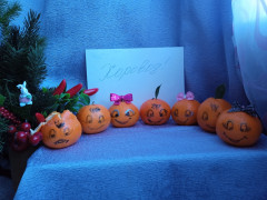 IMG_20221206_110620.jpg