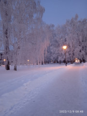IMG_20221209_084808.jpg