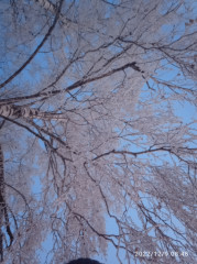 IMG_20221209_084844.jpg