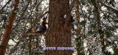 1693E86B-F7D4-4D15-8A65-E18217BC37AB.jpeg