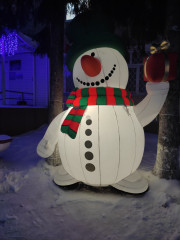 IMG_20221210_082832.jpg