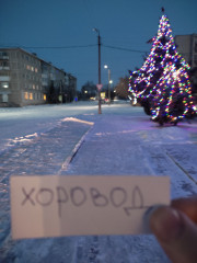 IMG_20221210_082844.jpg