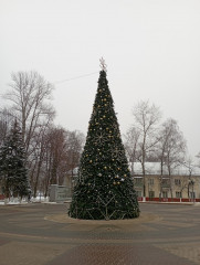 IMG_20221210_101130.jpg