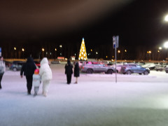 IMG_20221210_205436.jpg