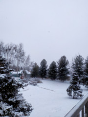 IMG_20221210_131022.jpg