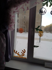 IMG_20221213_105218.jpg