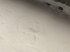 Ты пузырь видишь? Нет? А он есть!!!