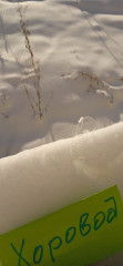 IMG_20221214_130052_BURST4.jpg