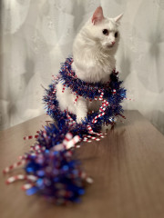 E5AD762B-2AAD-476B-8405-2C346D051A3E.jpeg