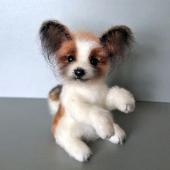 20191213_130314ф.jpg
