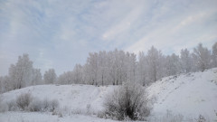 IMG_20221230_151214.jpg
