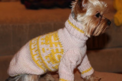 7BB6DD2D-0D4A-4E01-AC15-5A81014284E6.jpeg (137.55 КБ) 7878 просмотров Зовут Тиля, полное имя Матильда, ей 9 лет