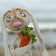 IMG_20180301_171540_644.jpg (49.12 КБ) 5531 просмотр Живёт этот товарищ на Бали))) Шлёт мне от туда приветы