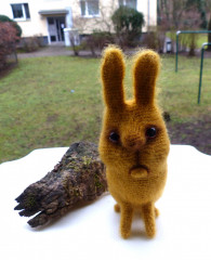 P1020858.JPG (210.39 КБ) 5529 просмотров #Котоматрешки