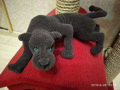 IMG_20190828_231540.jpg (170.69 КБ) 5912 просмотров Мк Ксения Ремнева