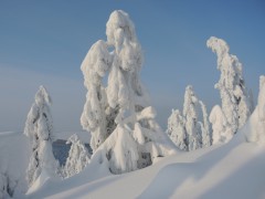 2179724_original.jpg
