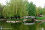 Центральный парк