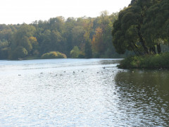 IMG_6228.JPG