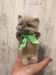 799368FD-5A10-400B-9260-A3B49D71592F.jpeg (168.28 КБ) 5068 просмотров По МК Татьяны Коротких