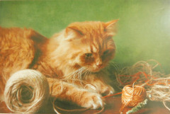 DSCN3557.JPG