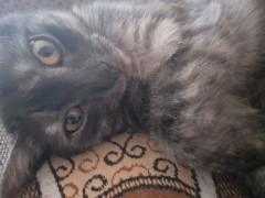 20230319_173442.jpg