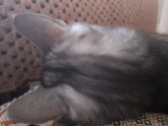 20230319_173543.jpg