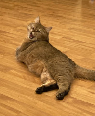 aiBrJqDWQQ0.jpg
