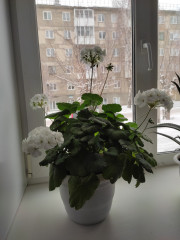 IMG_20230314_141428.jpg