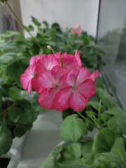 IMG_20230221_184621.jpg