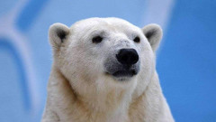 TASS_32209820.jpg