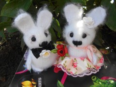 IMG_20220404_214108.jpg