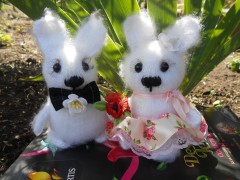IMG_20220404_214102.jpg