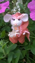 IMG_20220405_001644.jpg