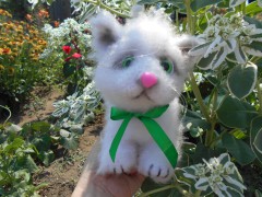 IMG_20220404_214056.jpg