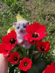 IMG_20220405_012045.jpg
