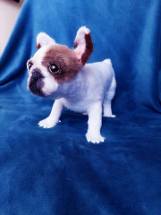 BeautyPlus_20230314122655002_save.jpg