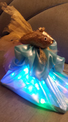 20201206_205419.jpg (149.49 КБ) 11528 просмотров Золотая рыбка для исполнения желаний!