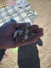 IMG-20230826-WA0017.jpg