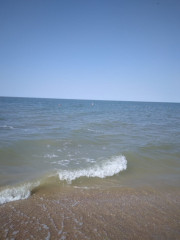 IMG-20230827-WA0019.jpg