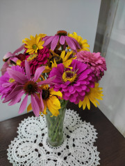 IMG_20230811_024741.jpg